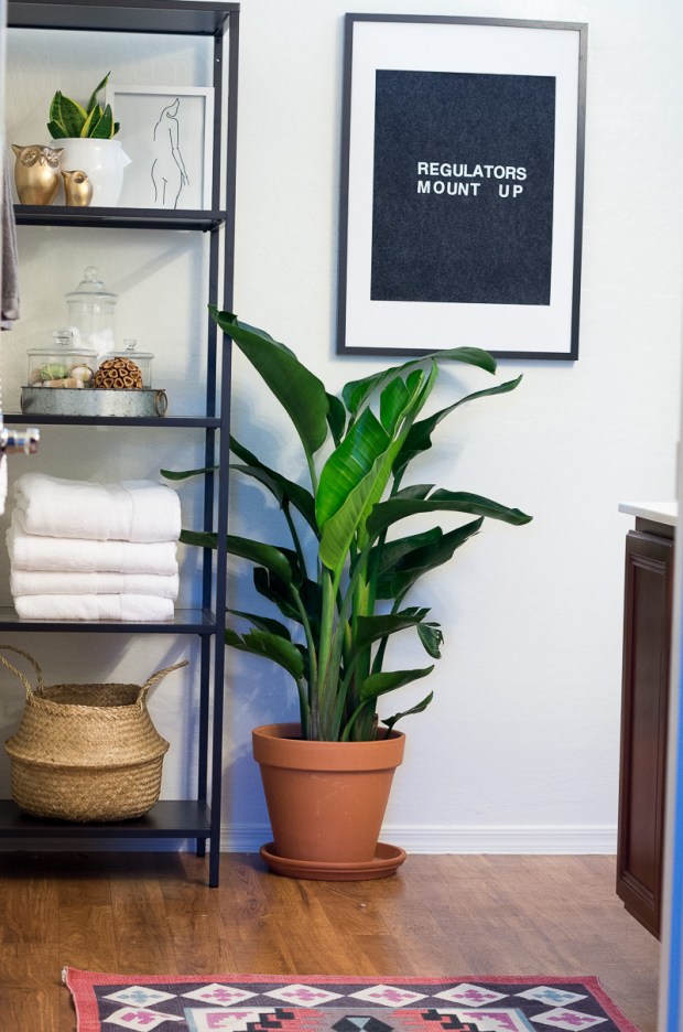 bathroomletterregulators-1-of-3