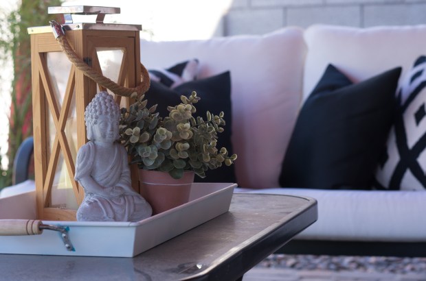 outsidespringbackyard-9