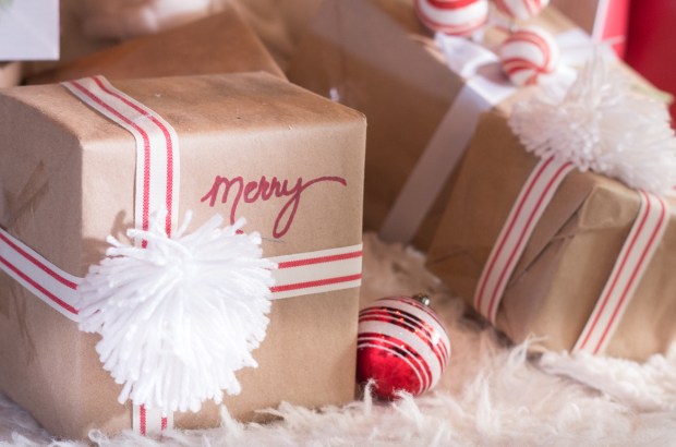 christmasdecor2017-49